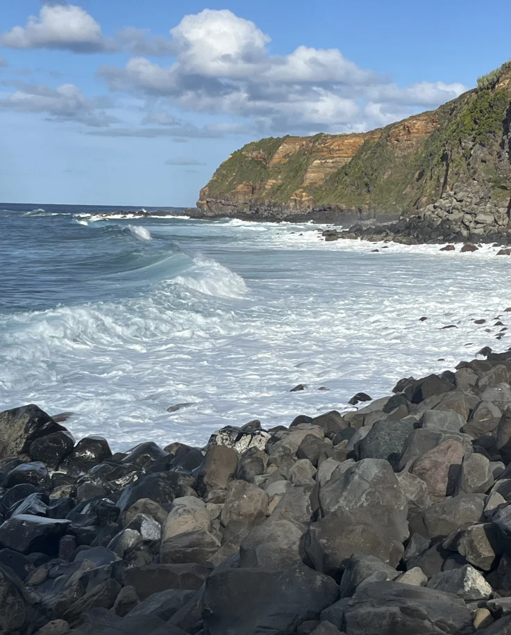 Exploring the Azores: The Natural Beauty of Terceira Island curated by Susan Walser