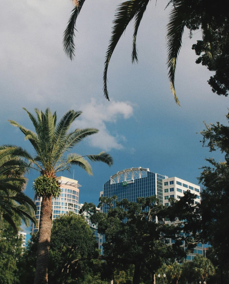 Beyond the Castle: Hidden Gems of Orlando curated by Emily Bissette