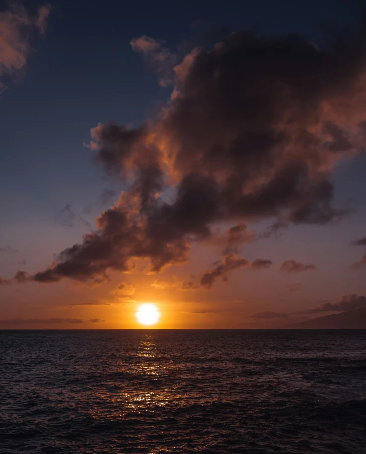 Thanksgiving in Maui: I'm Grateful for Superb Snorkeling and Fantastic Food curated by Melissa Griffin