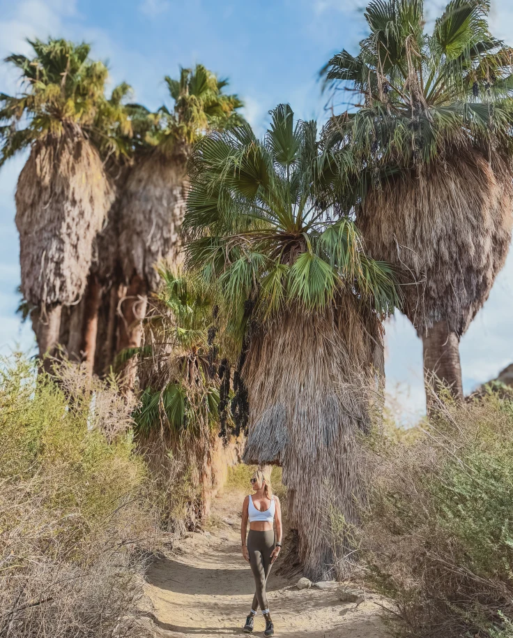 A Wellness Lover’s Guide to Palm Springs curated by Jaimie Bayer