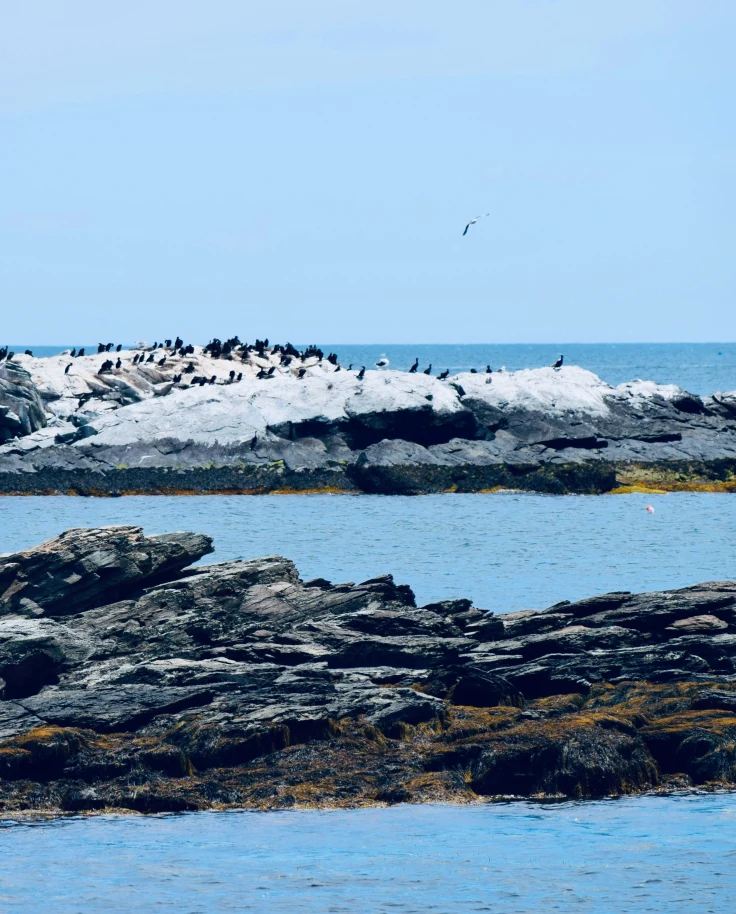 Eastern Seaboard Adventure: A Fourth of July Family Journey curated by Priscilla Baldari