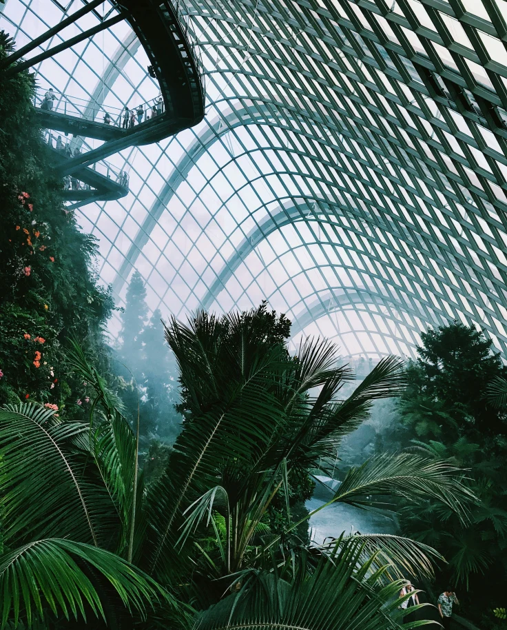 The Complete Travel Guide to Singapore: Culture, Cuisine and Charm curated by Arlette Diederiks