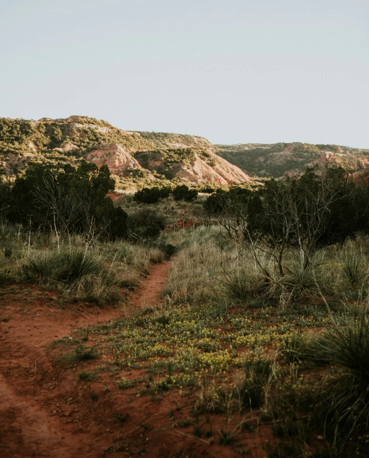 NYC to Texas, A Road Trip from the Big Apple to the Lone Star State curated by Leila Nations
