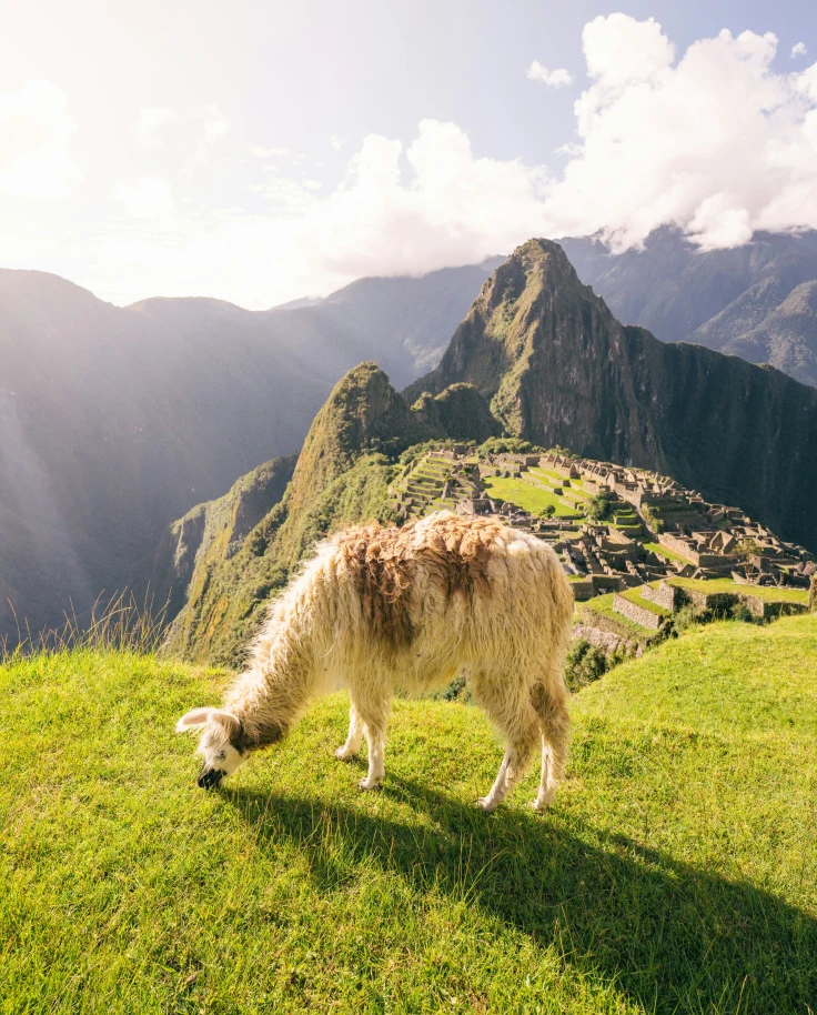One Week Exploring Peru curated by Maria Teresa Carrasquero
