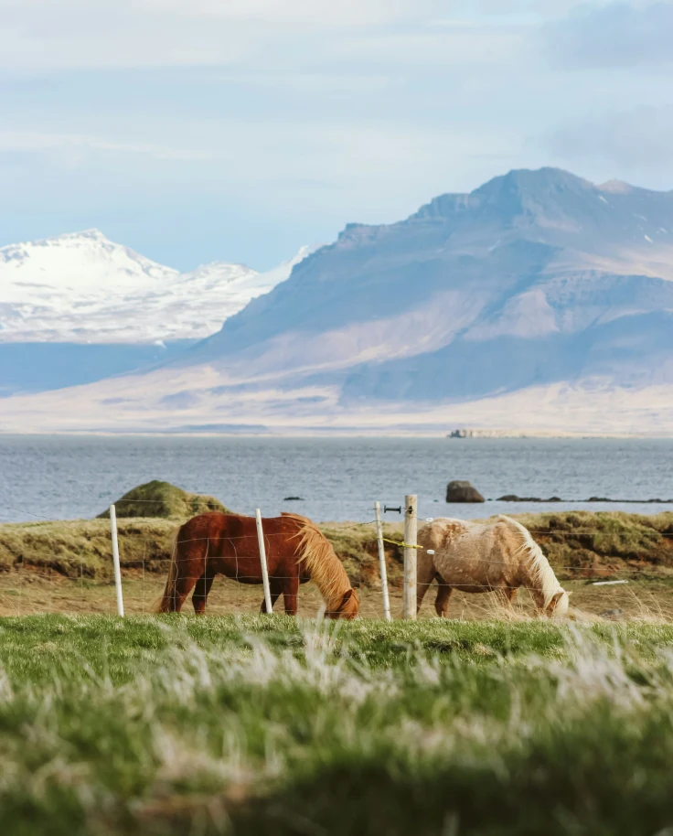 Ultimate 7-Day Patagonia Itinerary: Best Hikes, Glaciers and Wildlife in Chile & Argentina curated by Anna Hahn