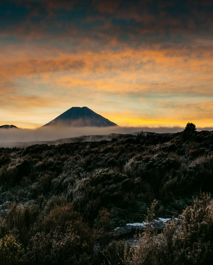 Journey to Middle Earth: A ‘Lord of the Rings’ Adventure in New Zealand curated by Emyli Gudmundson