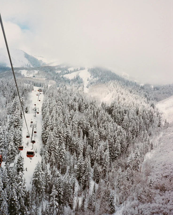 Mountains and More: Welcome to Park City curated by Tara Condon