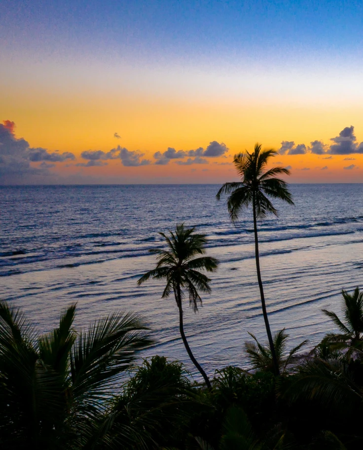Maldives: The Epitome of Tropical Paradise curated by Nicola Mancini