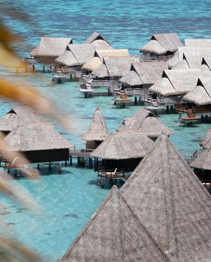 Magical Experience in French Polynesia curated by Maria Teresa Carrasquero