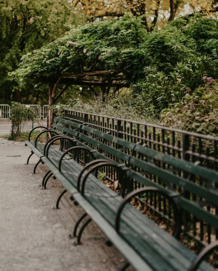 South Florida Public Parks & Playgrounds curated by Ashley Jeshiva