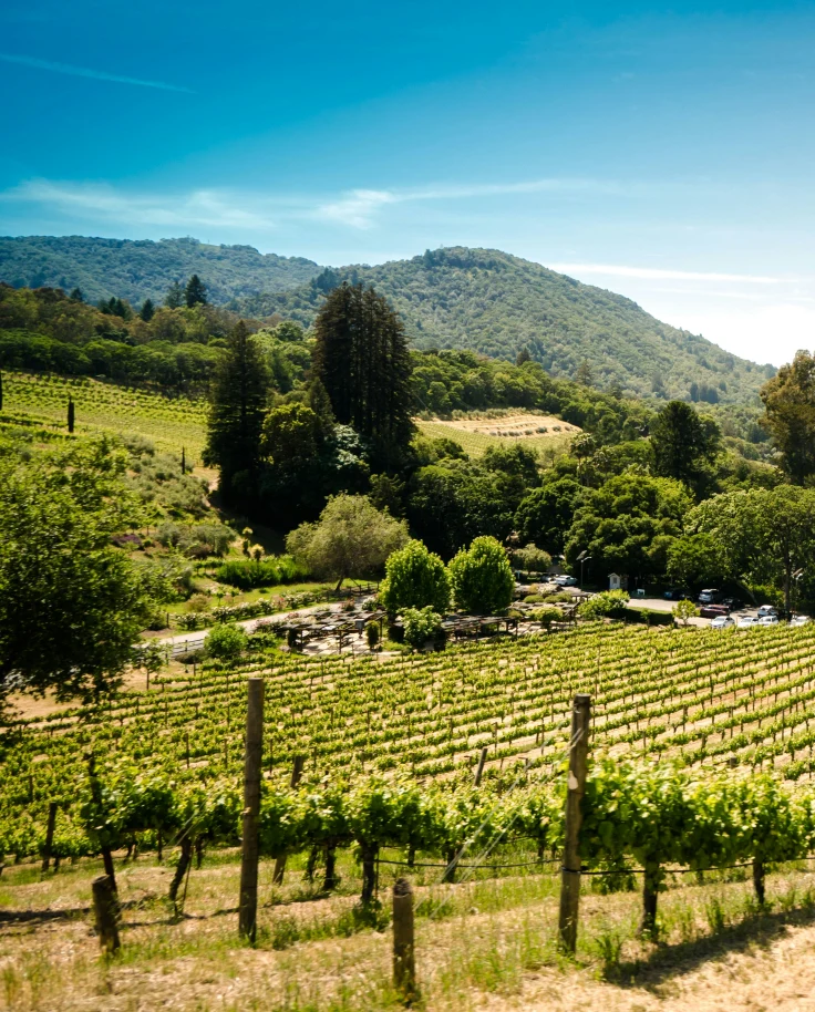 Welcome to the Willamette Valley curated by Angie Tramelli