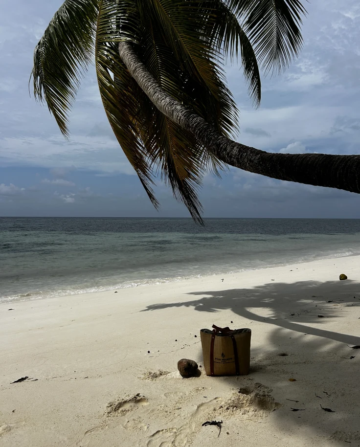 Two Islands, One Luxury Brand: Four Seasons Resorts Seychelles Complete Guide curated by Arlette Diederiks