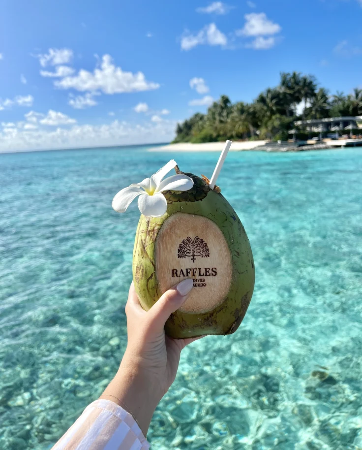 Overwater Luxury in the Maldives: Our Unforgettable Raffles Honeymoon curated by Dani Garcia