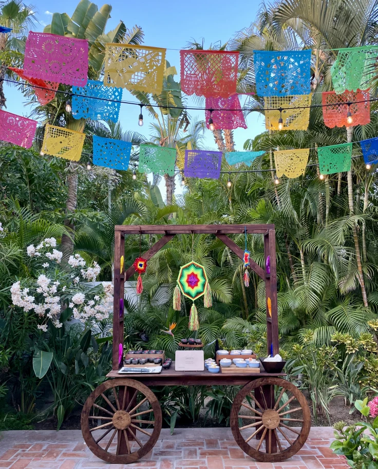 One&Only Palmilla: Celebrating an Oasis in Cabo curated by Marlan Willardson