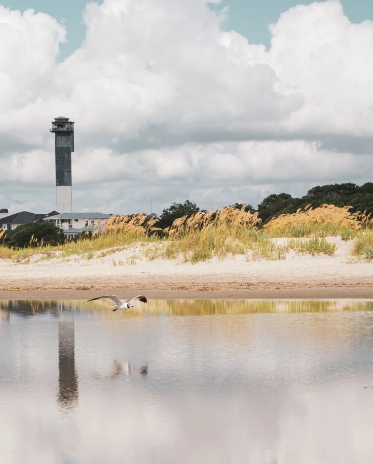 Day Trip to Sullivan’s Island Beach and Mount Pleasant, South Carolina curated by Lorraine Whetstone