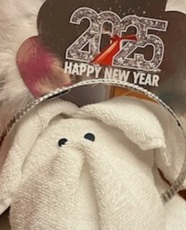 Ringing in the New Year on Carnival Glory curated by Marybeth Brown