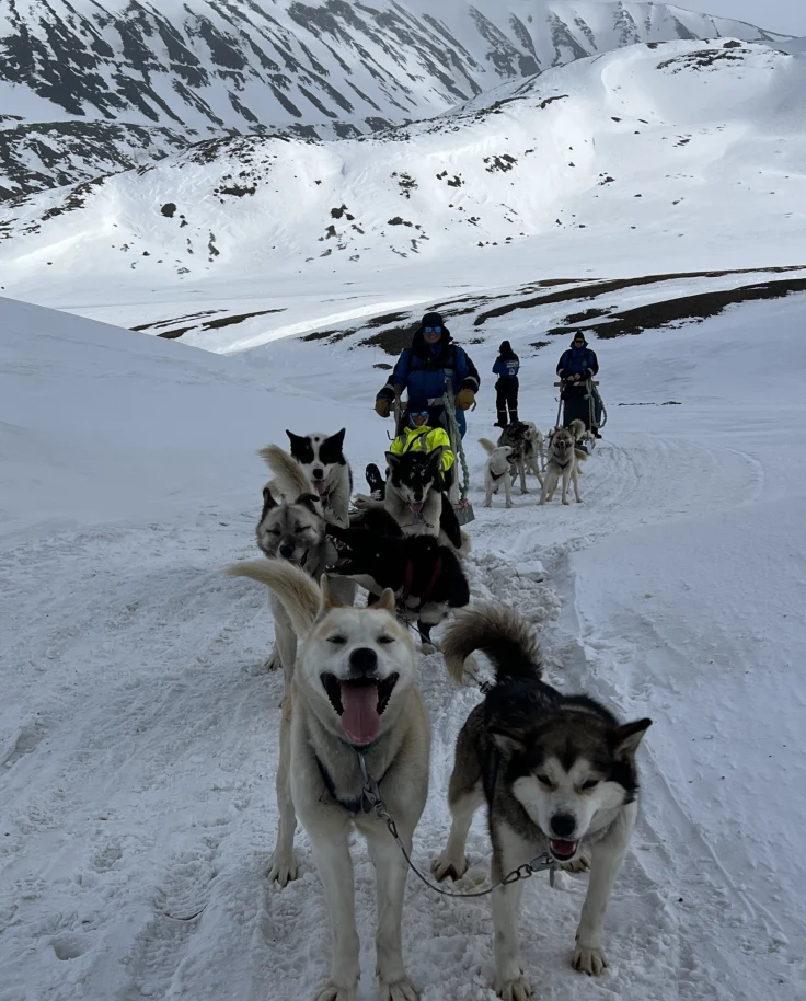 Adventures in Longyearbyen: 3 Days at the Top of the World curated by Mei-Mei Kirk