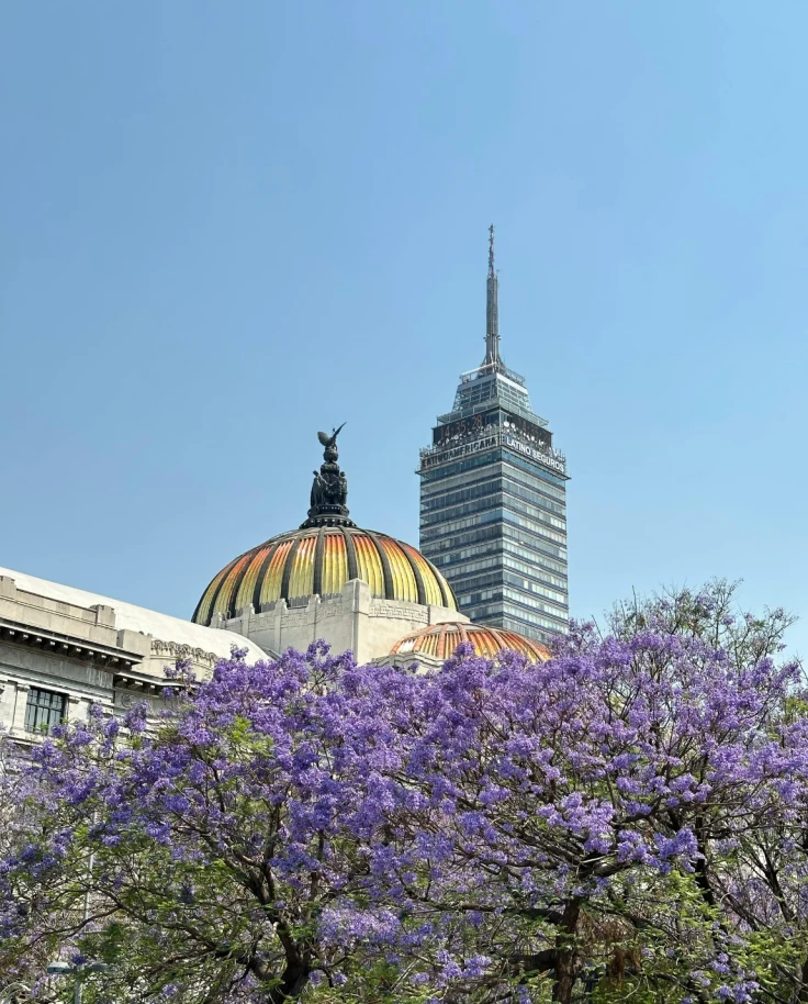 Three Days in Mexico City: The It Girl’s Guide curated by Aneatrice Wornum