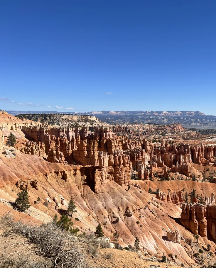 A Nine-Day Journey Through Utah & Arizona's National Parks curated by Rachel Levy