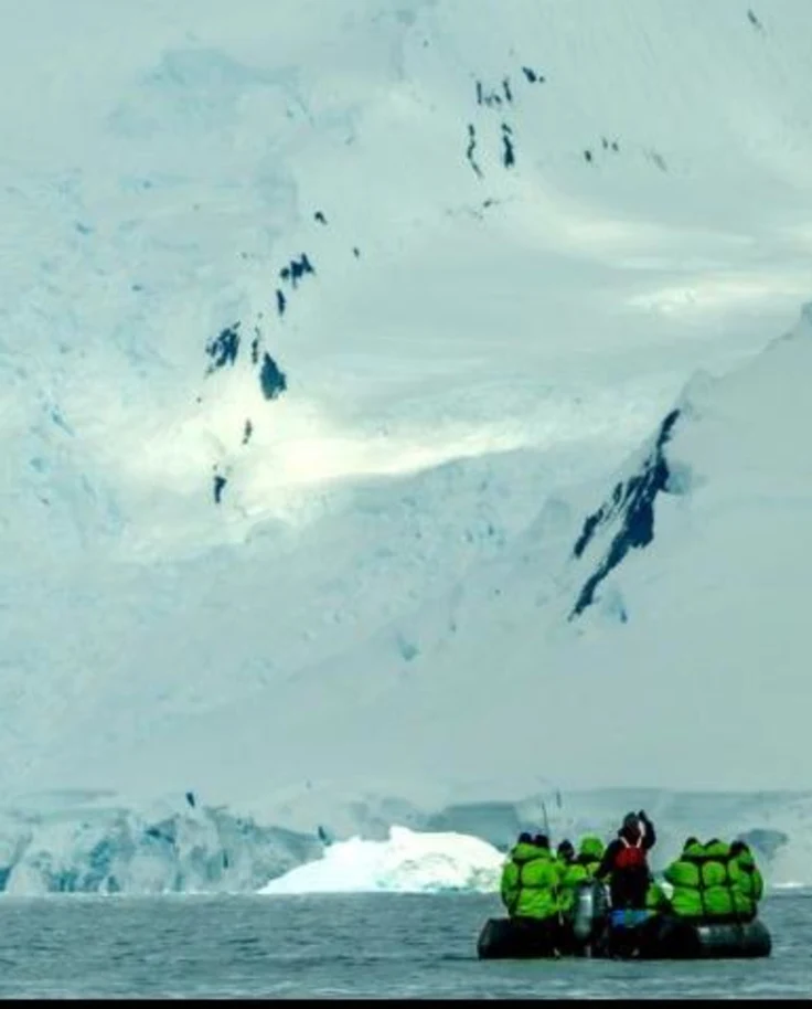 South of Everything: Frozen Seas & Wild Encounters curated by Janice Escobar