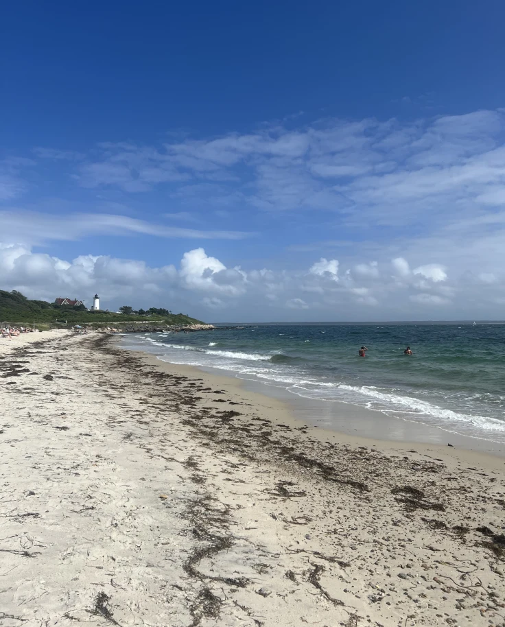 Enjoying Cape Cod Without Sand in Your Shoes curated by Joanna Vinick
