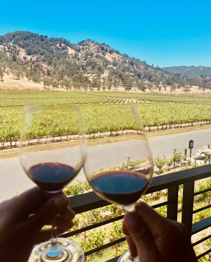 A Weekend at the Four Seasons, Napa Valley curated by Danielle Lederman