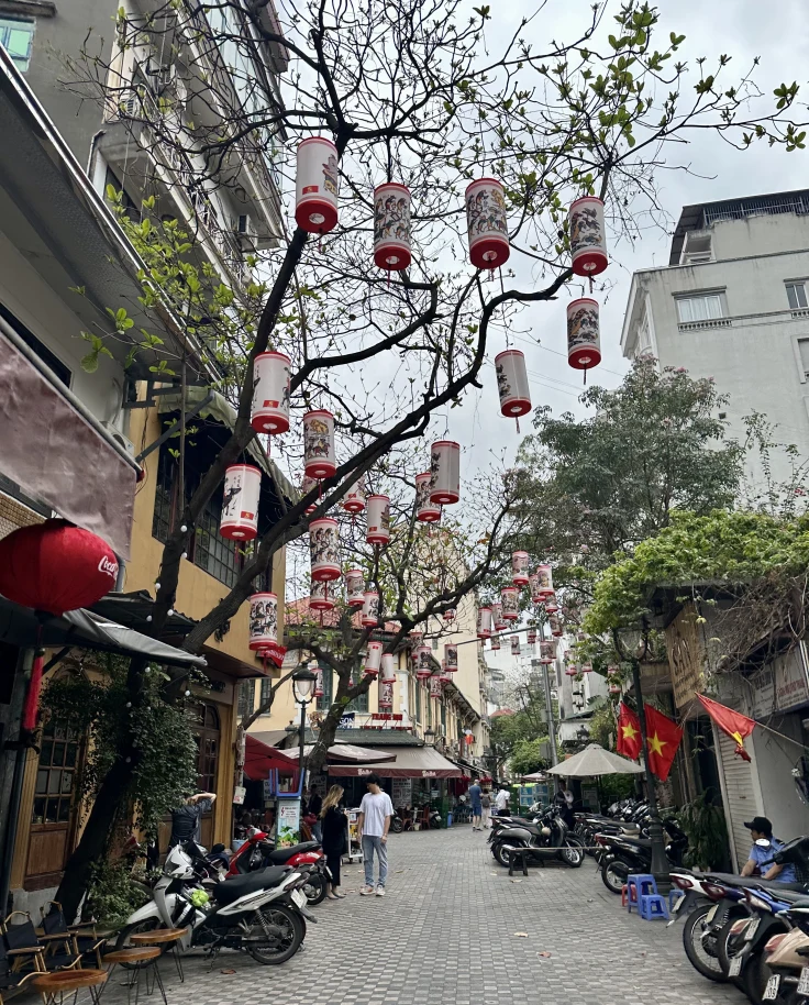 10 Days in Vietnam: North to South curated by Sydney Alepa