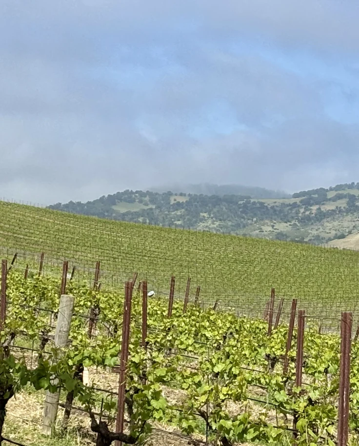 Wine Country Mother/Daughter Trip: A 5-Day Napa Valley Itinerary curated by Dana McGowan