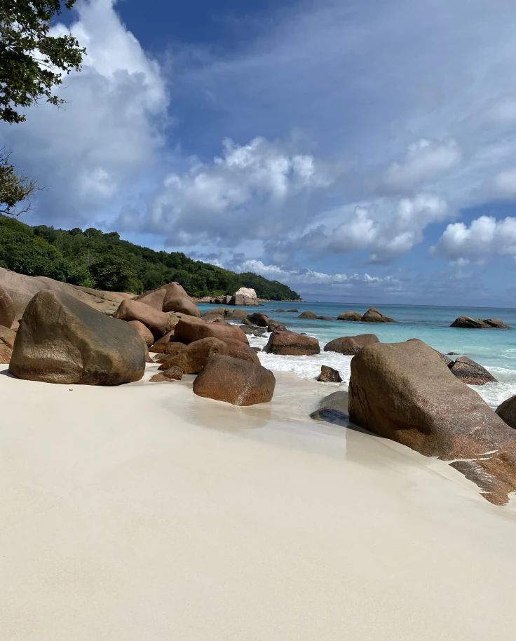 Beachside Paradise: 9 Days in Seychelles curated by Melissa McDonald