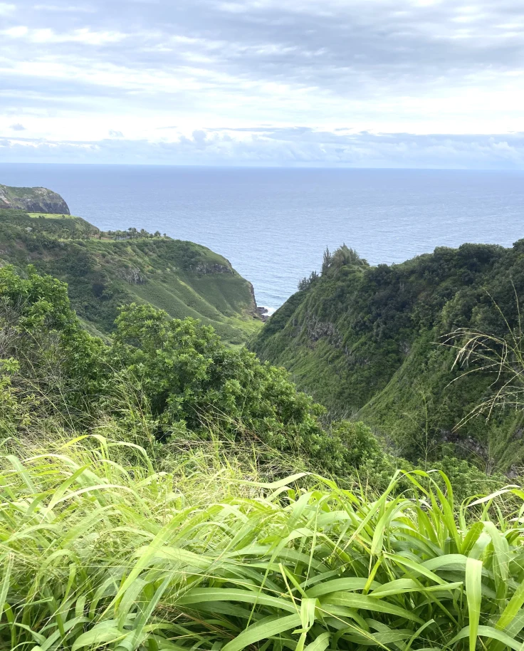 Mai Tais & Mile High Views: A Maui State of Mind curated by Brittany Wallace