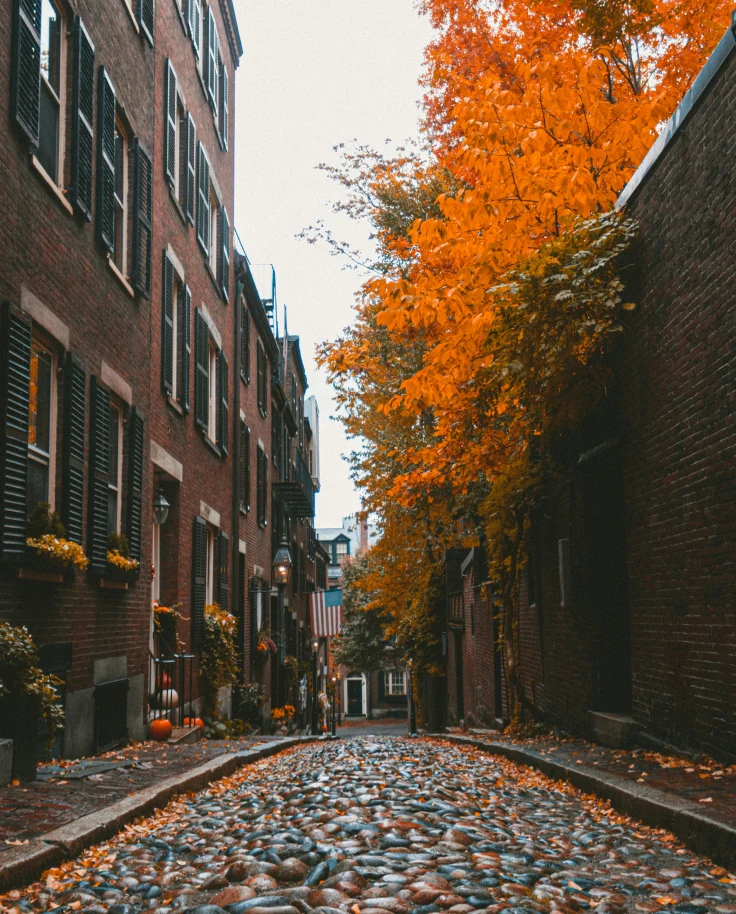 Boston Uncovered: History, Culture & Food with a Local’s Touch curated by Angela Tucker