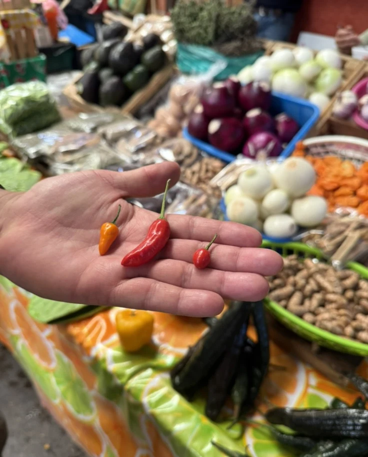 Feast for the Senses in San Miguel de Allende: A Four-Day Foodie Itinerary curated by Jane Henzerling