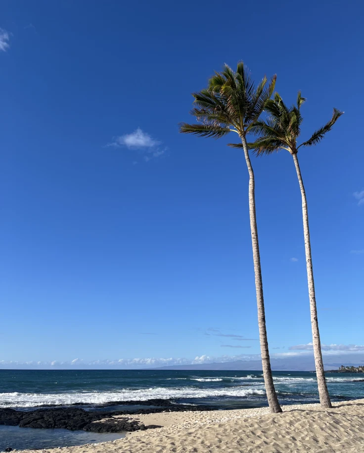 Hawai'i: Your Seven-Day Adventure on the Big Island curated by Tracy Delossantos