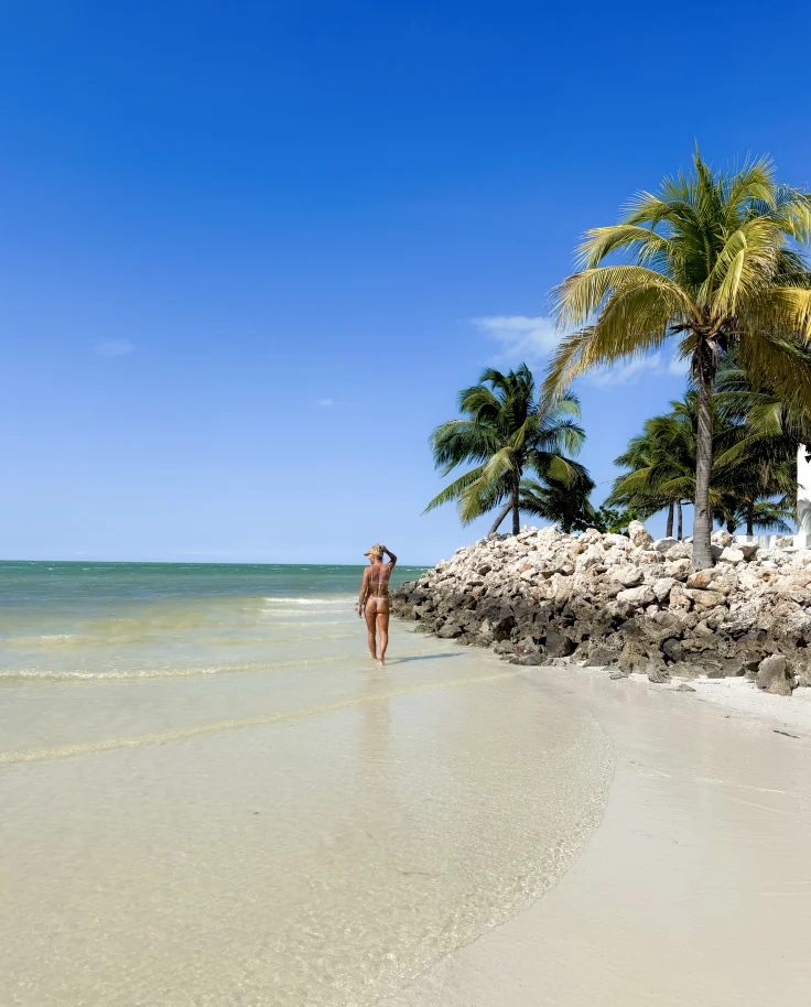 The Best of Holbox Island: A Five-Day Experience curated by Jaimie Bayer
