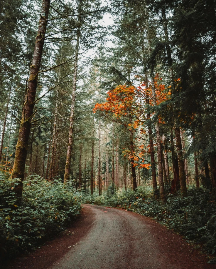 12-Day Luxury Journey Through the Pacific Northwest curated by Joanie Wang