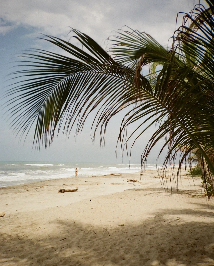 Scuba & Jungle: A Four-Day Eco Adventure in Tayrona, Colombia curated by Manon Ropital