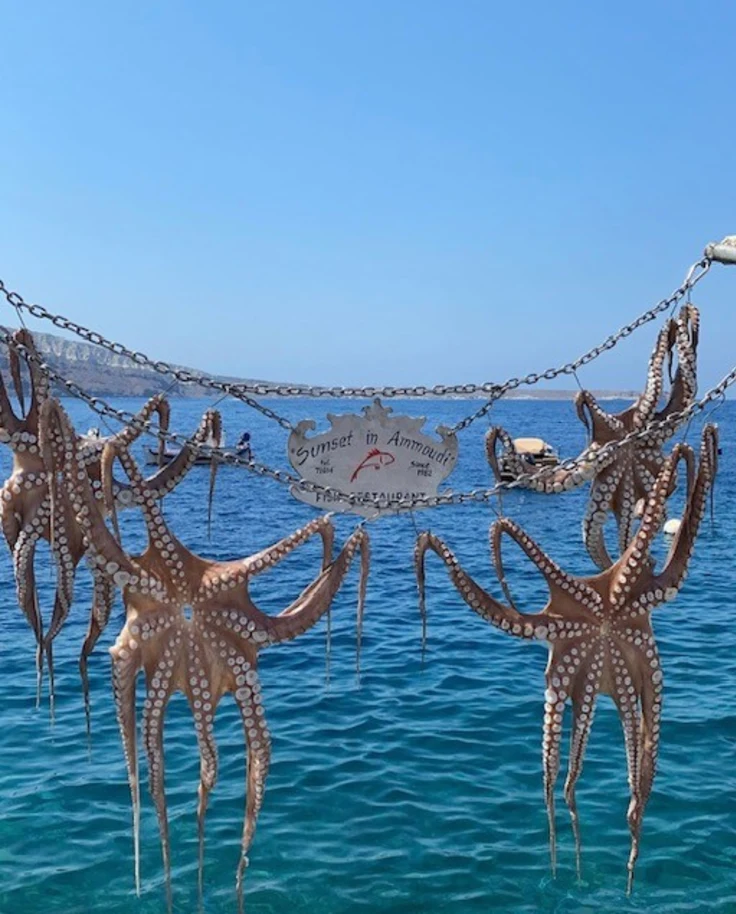 Cycladic Bliss: Sifnos, Milos & Santorini in 9 days curated by Angelica Zureikat