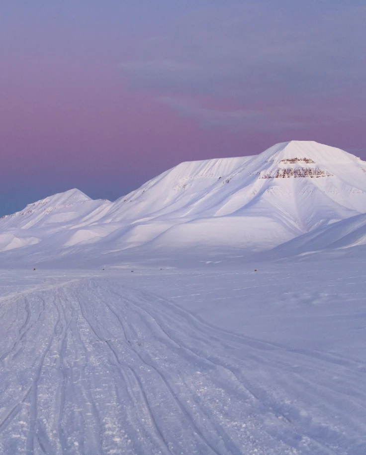 A Week at the Top of the World: The Ultimate Guide to Svalbard, Norway curated by Nathalie Lüttgens