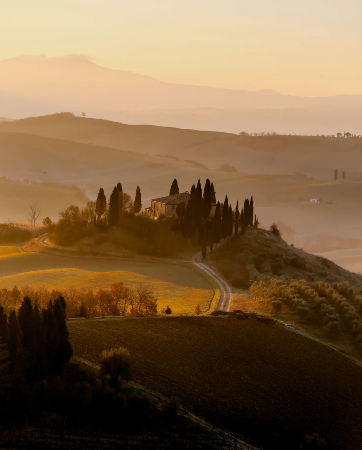 Timeless Tuscany: A Curated Travel Guide curated by Angela Hope