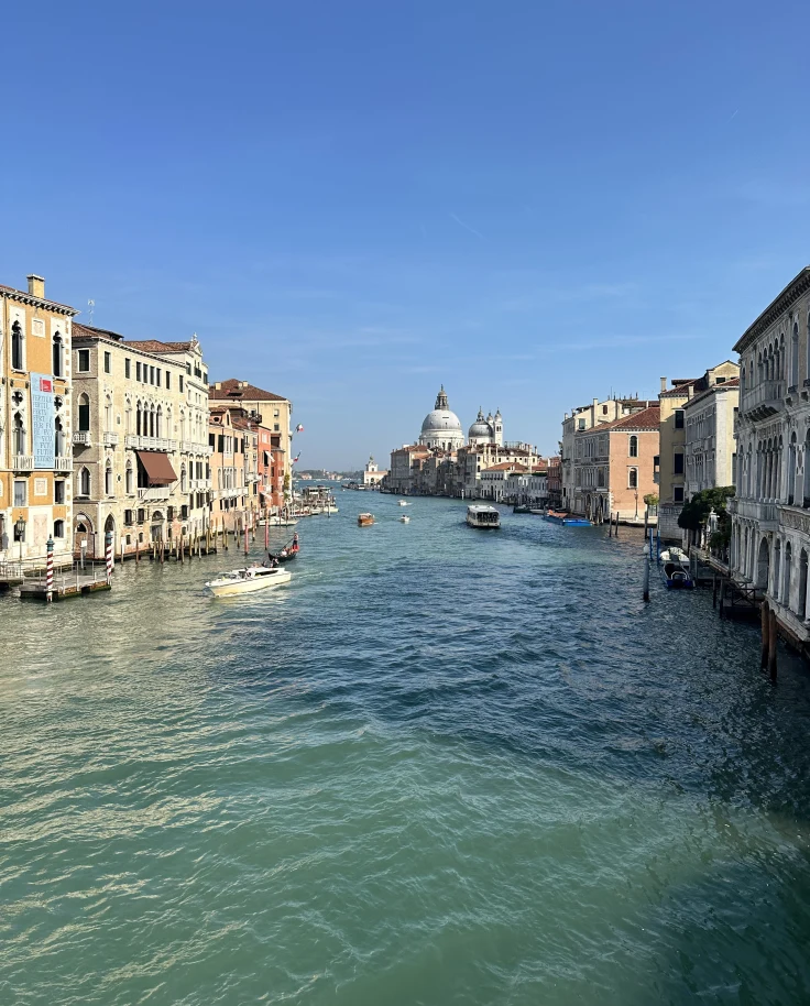 Exploring in Venice curated by Jacob Bryant