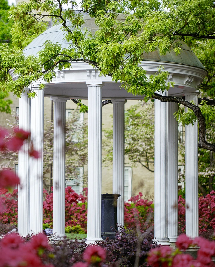 Chapel Hill: A Little Town with a Big Personality (and Yes, I’m Biased) curated by Seasen Acevedo-Zullo