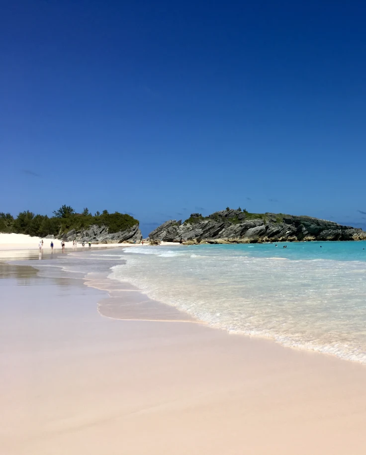 Bermuda: Beauty & Tranquility curated by Darci Cepiel