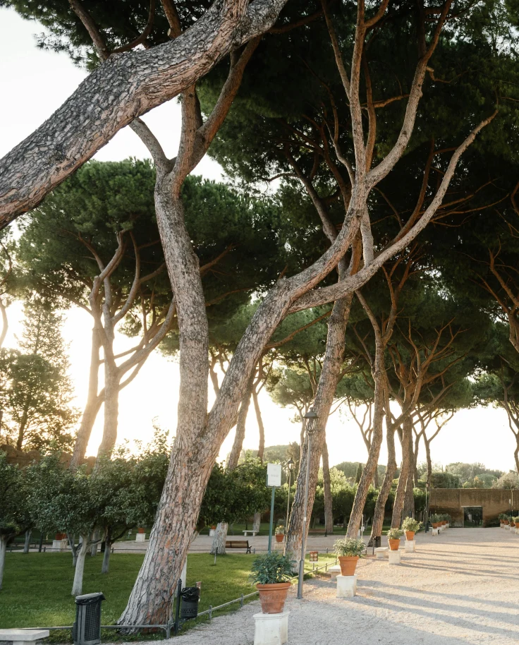 Relaxing in Rome: Away From the Crowds curated by Ciaran Coen