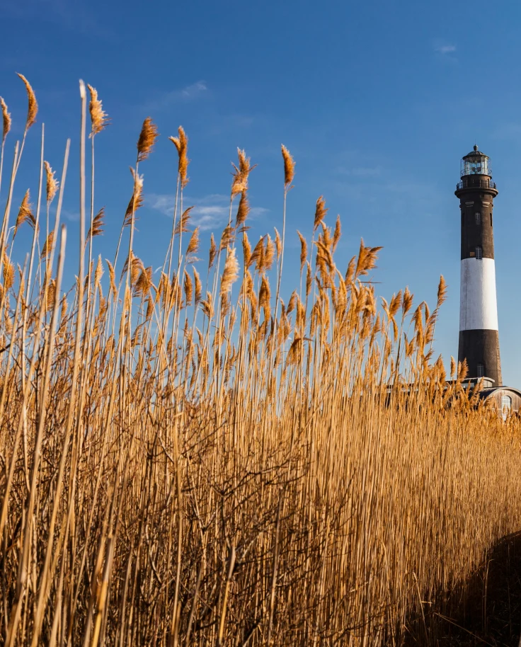 Bagels, Beaches and Backroads: The Real Long Island Lowdown curated by Matthew Alexander
