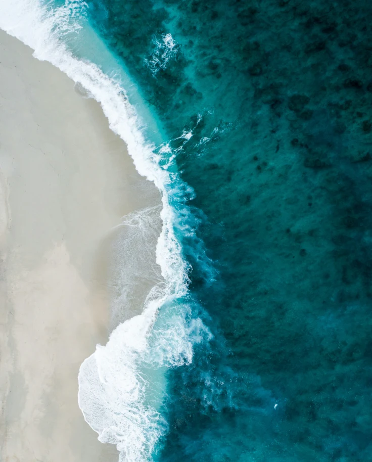Oahu’s Best Beaches: Where to Swim, Surf & Explore curated by Alyssa Brigidi