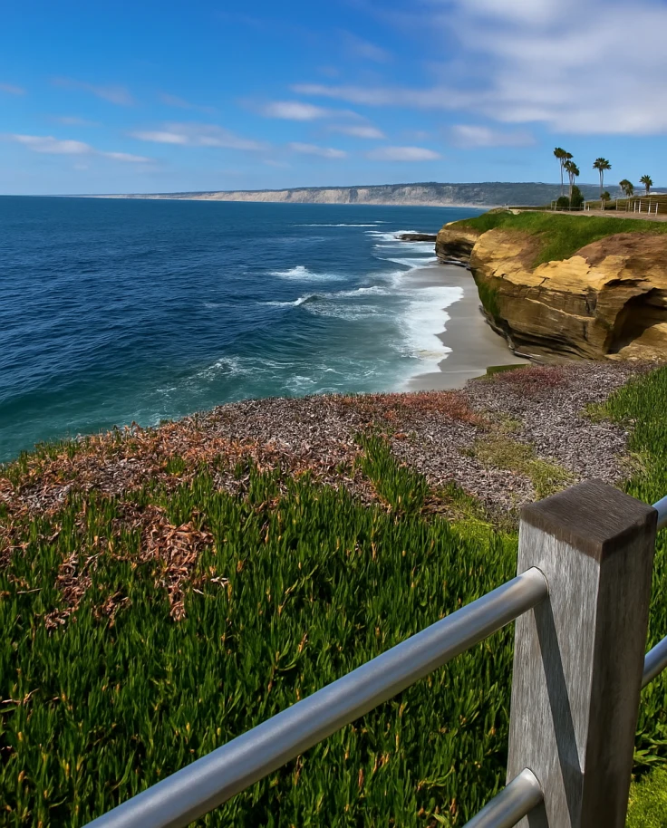 San Diego Outdoors: From La Jolla Cove to Belmont Park & Beyond curated by Brogden Heidenreich
