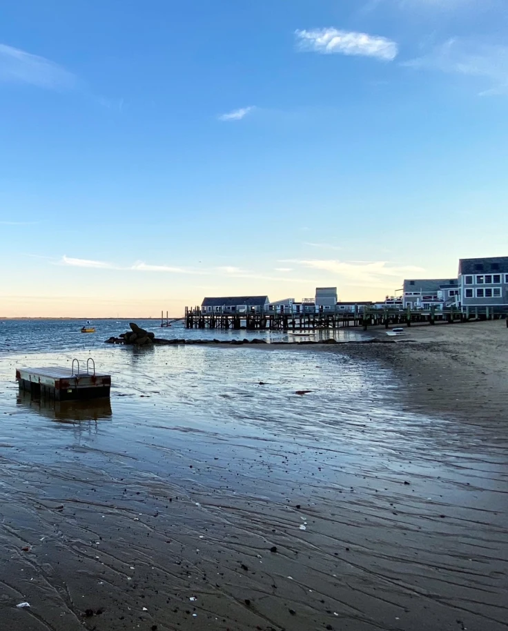 Out and About in Provincetown curated by Barrett Lane