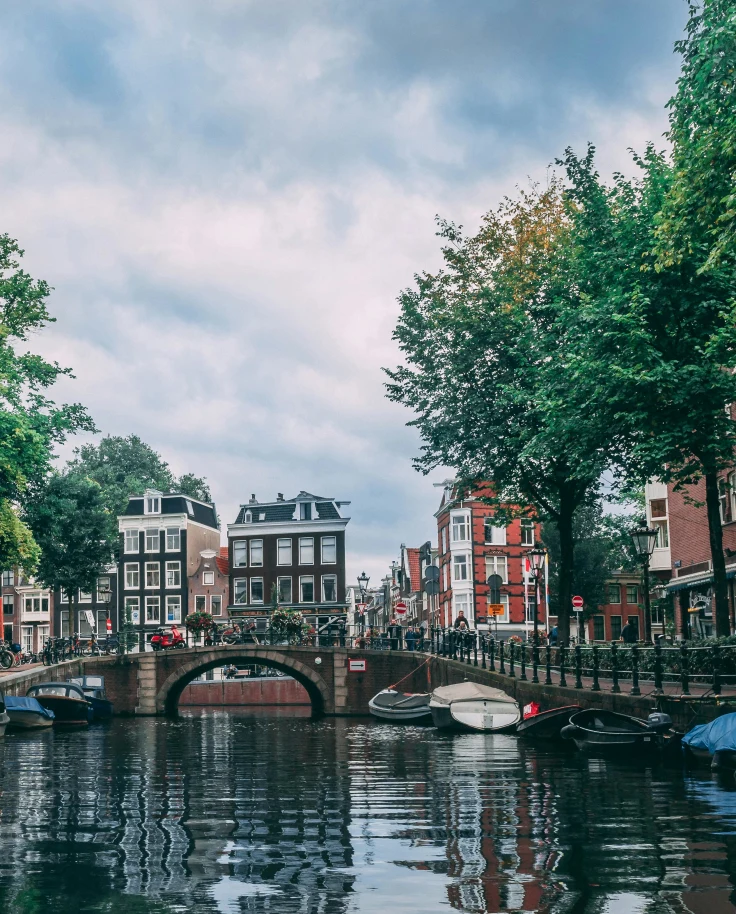 The Tastes and the Tulips: Three Days in Amsterdam curated by Melissa Zimm