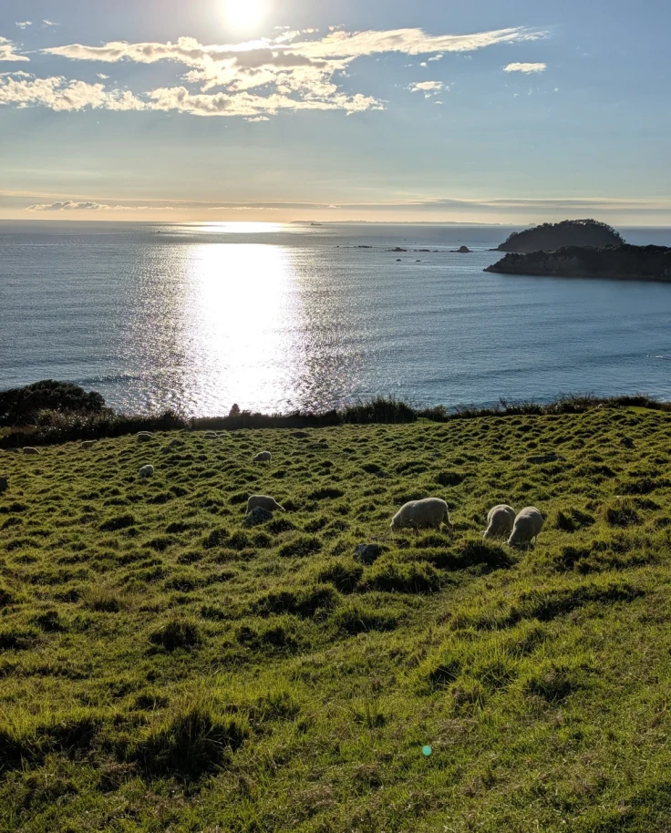 Kiwi Family Adventures: New Zealand with Young Kids curated by Mike Mertel