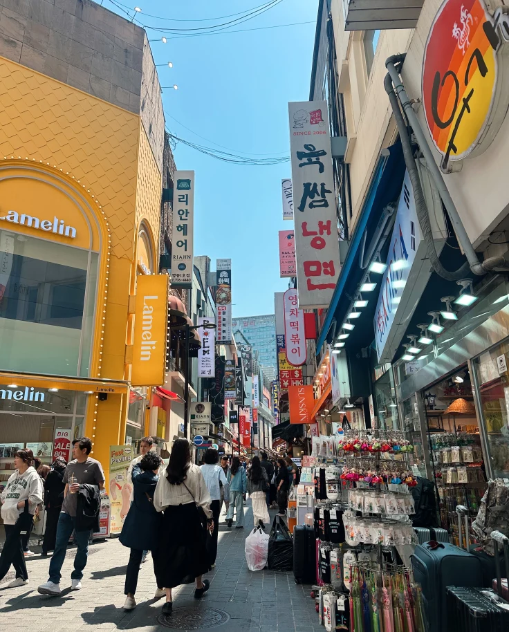 Seoul-Searching: The Beginner’s Guide to South Korea’s Capital curated by Annie Decker